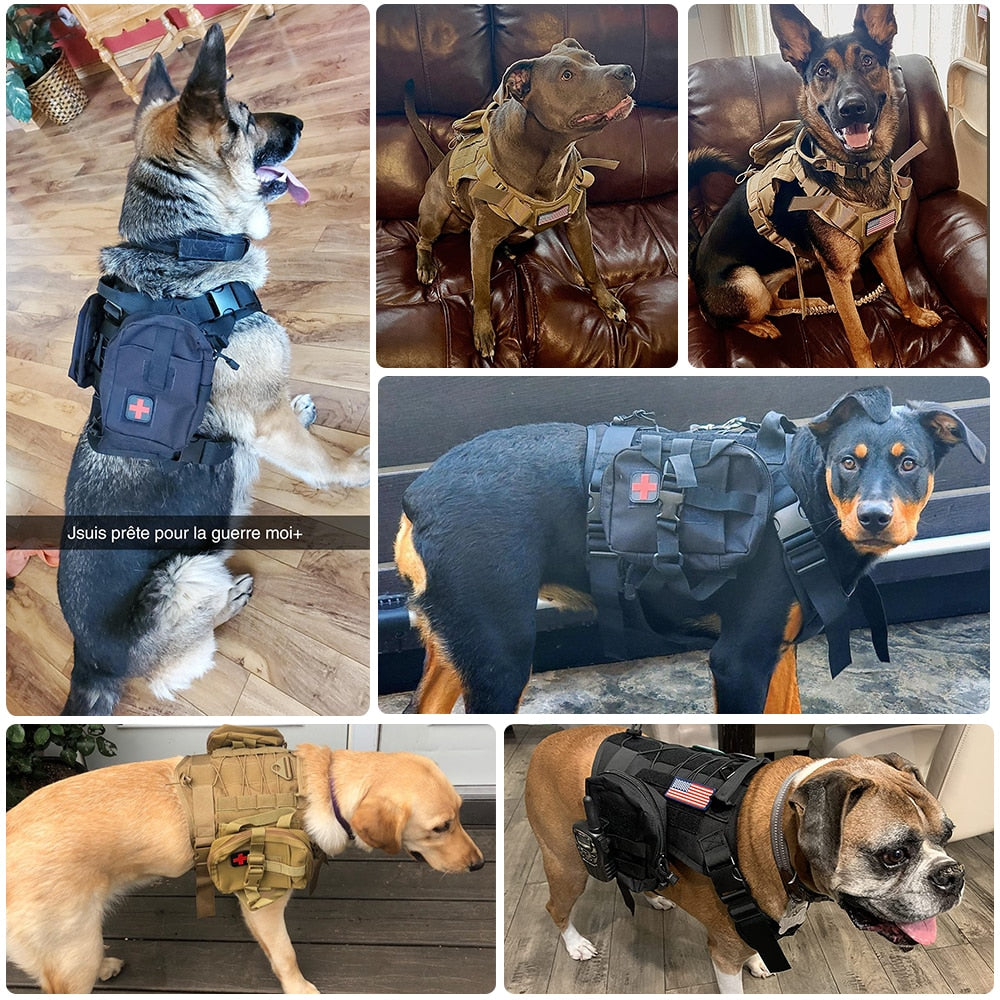 Tactical Dog Harnesses
