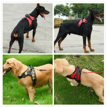 Adjustable Pet Harness