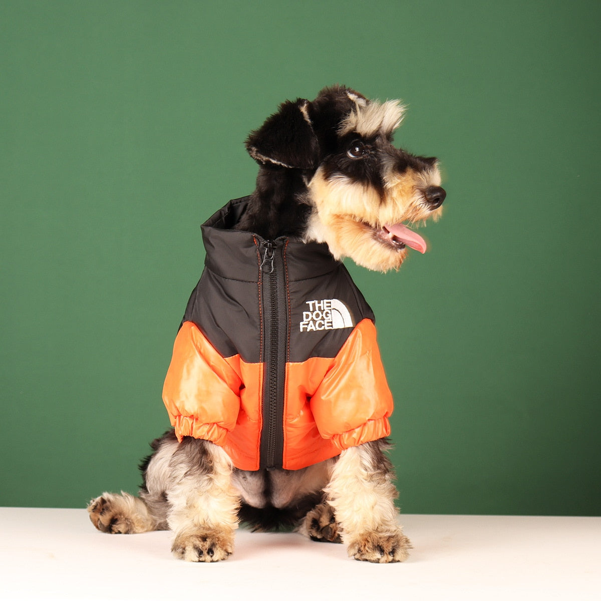 Medium on sale dog outfits