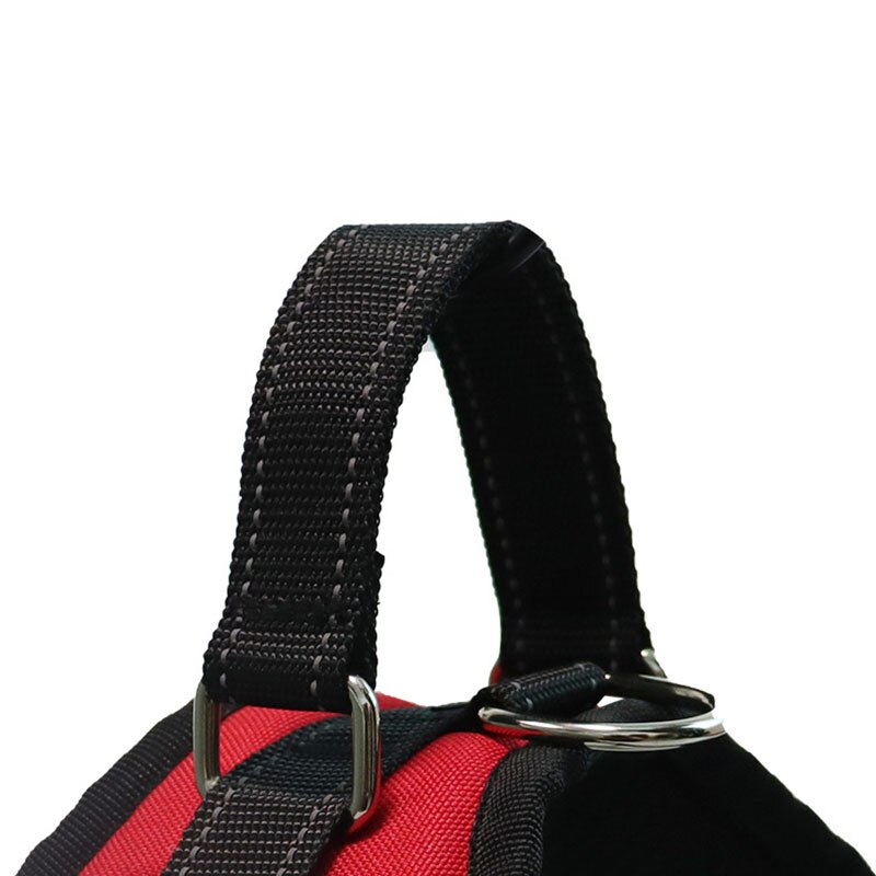 Adjustable Pet Harness