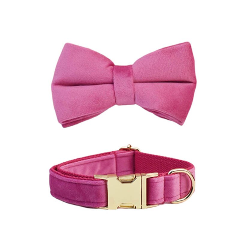 Luxury Corduroy Dog Collar & leash Set For Dogs rose red velvet