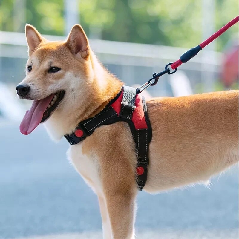 Adjustable Pet Harness