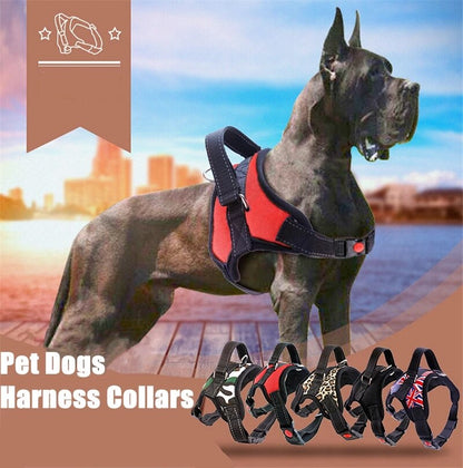 Adjustable Pet Harness