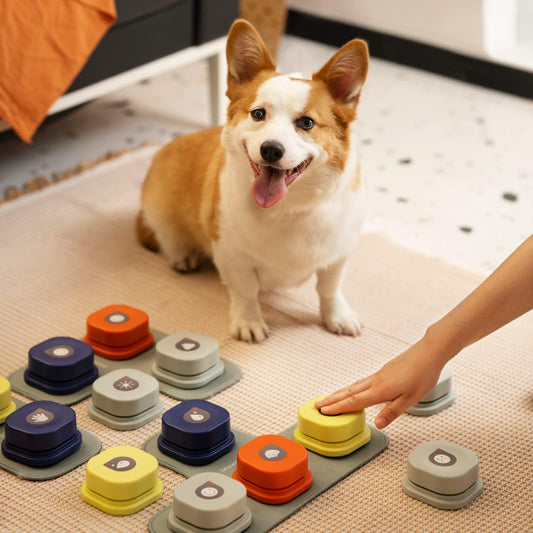 Dog Button Record Talking Pet Communication, Voice activated Training Interactive Bell